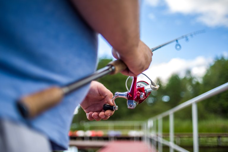 Goście indywidualni